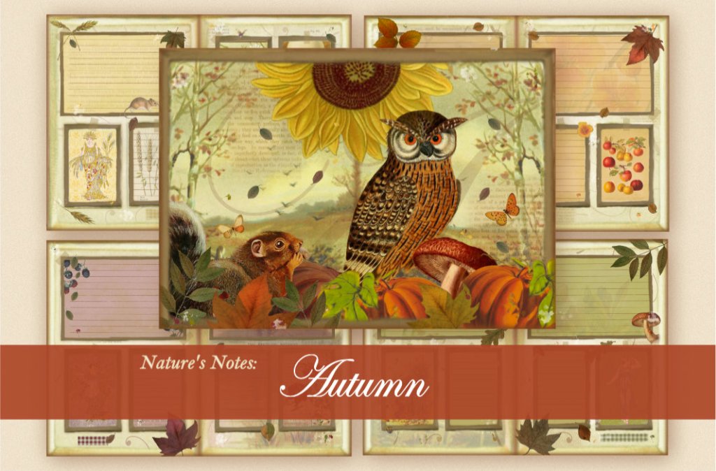Nature’s Notes: Autumn