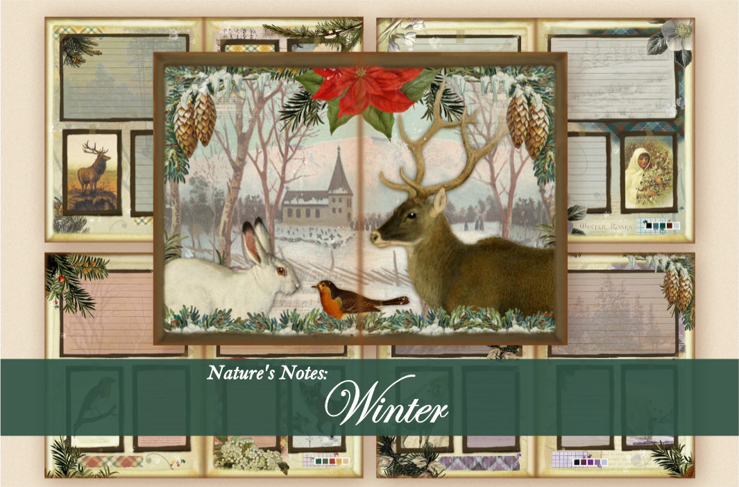 Nature’s Notes: Winter
