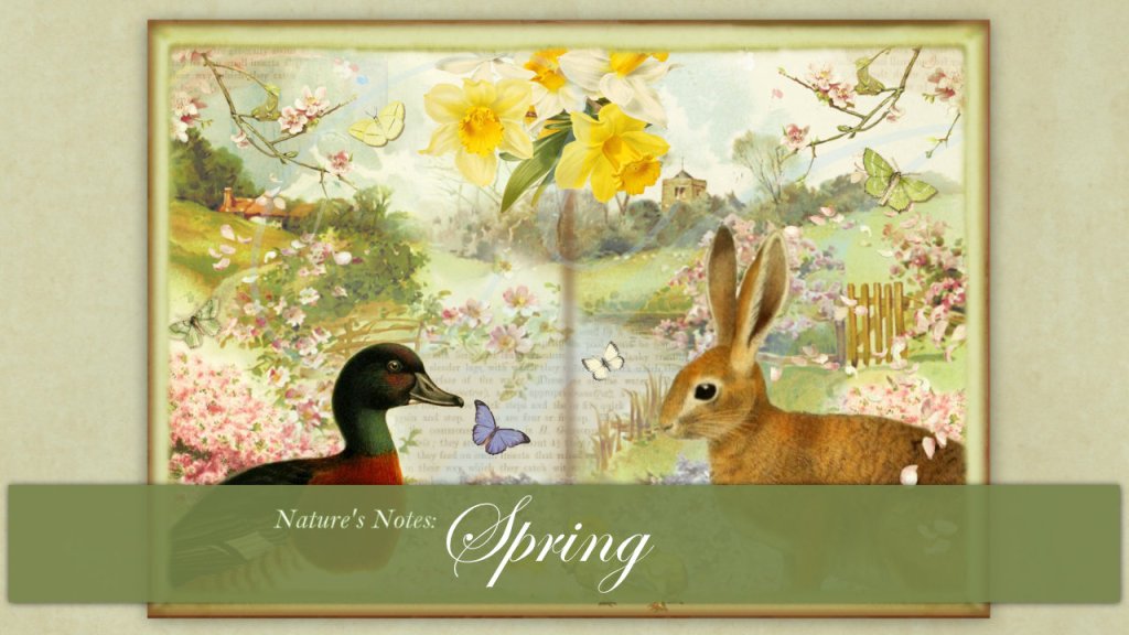Nature’s Notes: Spring